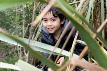 Tamariki in the forest.