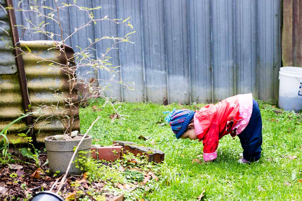 gardening