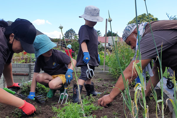 contribution gardening