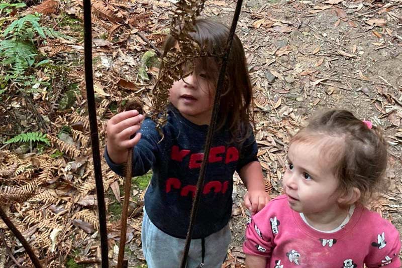 Two tamariki examine a fern frond in the forest.