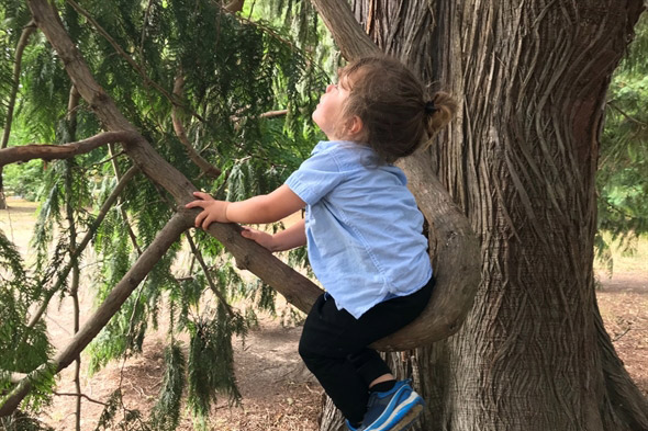 Neihana sitting on a branch in a tree.