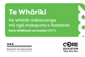 Cover of whakataukī cards.